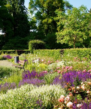 Schlossgarten2 Bearb